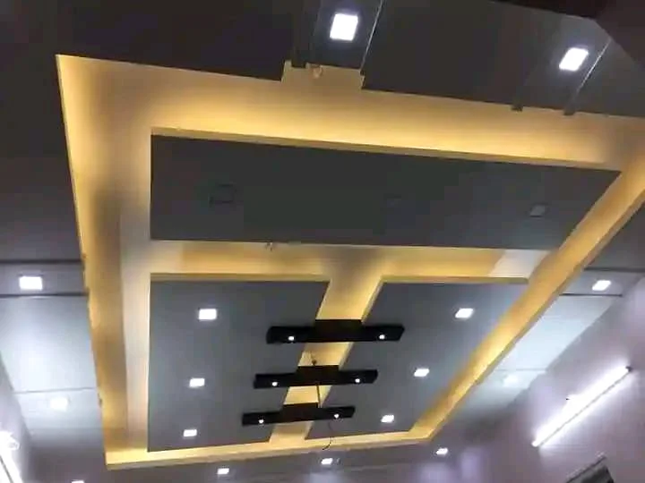 Black and gold statement ceiling